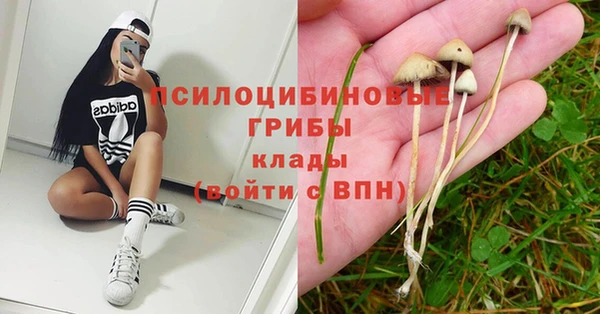 молекула духа Абдулино